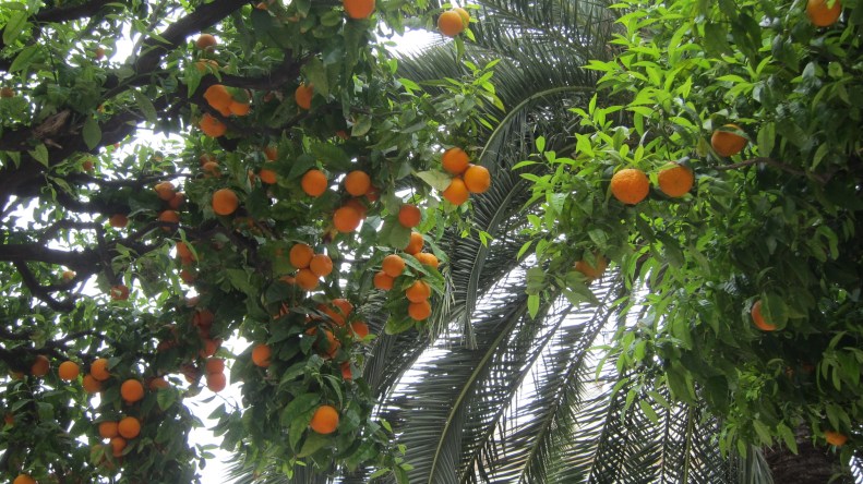 this really is southern france